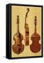 Viola D'Amore, 18th Century, from 'Musical Instruments'-Alfred James Hipkins-Framed Stretched Canvas