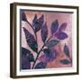 Viola I-Andrew Michaels-Framed Art Print