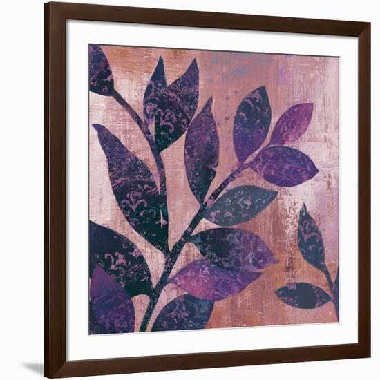 Viola I-Andrew Michaels-Framed Art Print