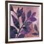 Viola I-Andrew Michaels-Framed Art Print