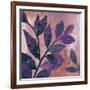 Viola I-Andrew Michaels-Framed Art Print