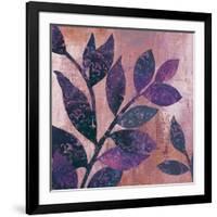 Viola I-Andrew Michaels-Framed Art Print