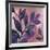 Viola I-Andrew Michaels-Framed Art Print