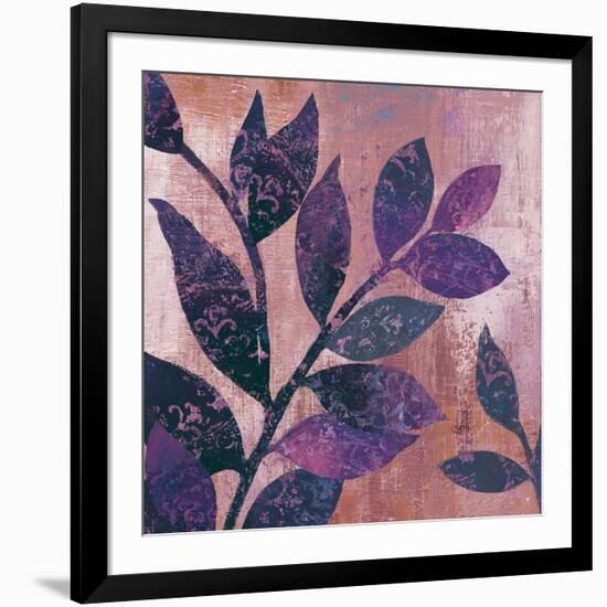 Viola I-Andrew Michaels-Framed Art Print