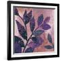 Viola I-Andrew Michaels-Framed Art Print