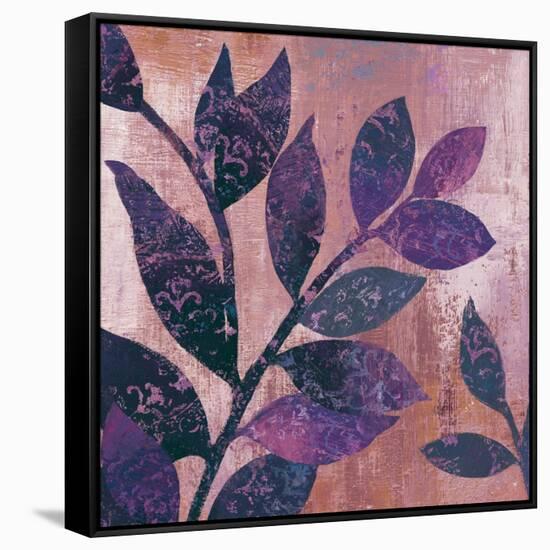 Viola I-Andrew Michaels-Framed Stretched Canvas