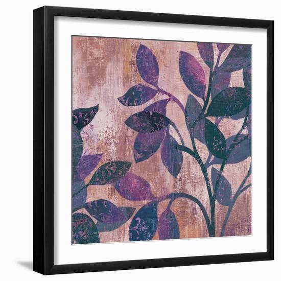 Viola II-Andrew Michaels-Framed Art Print