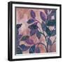 Viola II-Andrew Michaels-Framed Art Print