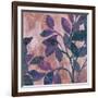 Viola II-Andrew Michaels-Framed Art Print