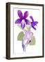 Viola mandshurica-Hiroyuki Izutsu-Framed Giclee Print