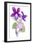 Viola mandshurica-Hiroyuki Izutsu-Framed Giclee Print