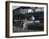 Viola, Roundhouse Wiper, Iowa-null-Framed Photographic Print