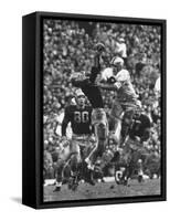 Violent Action: Don Helleder Trying to Retrieve Ball from Navy Defense During Army-Navy Game-John Dominis-Framed Stretched Canvas