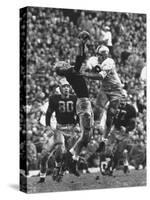 Violent Action: Don Helleder Trying to Retrieve Ball from Navy Defense During Army-Navy Game-John Dominis-Stretched Canvas