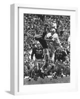 Violent Action: Don Helleder Trying to Retrieve Ball from Navy Defense During Army-Navy Game-John Dominis-Framed Photographic Print