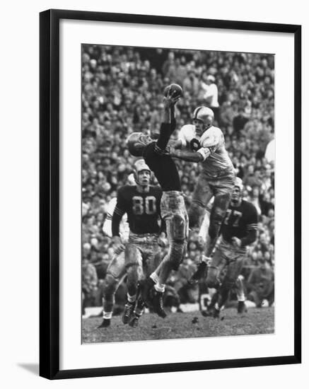 Violent Action: Don Helleder Trying to Retrieve Ball from Navy Defense During Army-Navy Game-John Dominis-Framed Photographic Print