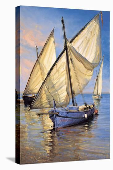 Violet Boat-Jaume Laporta-Stretched Canvas