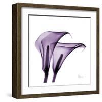 Violet Calla Twins II-Albert Koetsier-Framed Art Print