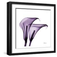 Violet Calla Twins II-Albert Koetsier-Framed Art Print