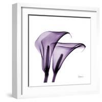 Violet Calla Twins II-Albert Koetsier-Framed Art Print