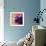 Violet Cow-Marion Rose-Framed Giclee Print displayed on a wall