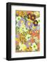 Violet Daisies and Orange Marigold-Ania Zwara-Framed Photographic Print