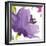 Violet Flower I-Sandra Jacobs-Framed Giclee Print