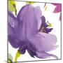 Violet Flower I-Sandra Jacobs-Mounted Giclee Print