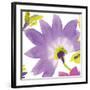 Violet Flower II-Sandra Jacobs-Framed Giclee Print