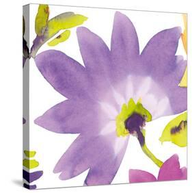 Violet Flower II-Sandra Jacobs-Stretched Canvas