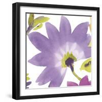 Violet Flower II-Sandra Jacobs-Framed Art Print