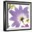 Violet Flower II-Sandra Jacobs-Framed Art Print