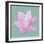 Violet Flower-null-Framed Art Print