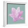 Violet Flower-null-Framed Art Print