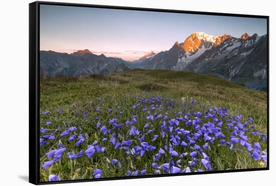 Violet flowers and green meadows frame the Mont Blanc massif at dawn, Graian Alps, Courmayeur, Aost-Roberto Moiola-Framed Stretched Canvas