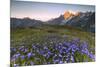 Violet flowers and green meadows frame the Mont Blanc massif at dawn, Graian Alps, Courmayeur, Aost-Roberto Moiola-Mounted Photographic Print