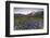 Violet flowers and green meadows frame the Mont Blanc massif at dawn, Graian Alps, Courmayeur, Aost-Roberto Moiola-Framed Photographic Print