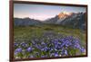 Violet flowers and green meadows frame the Mont Blanc massif at dawn, Graian Alps, Courmayeur, Aost-Roberto Moiola-Framed Photographic Print