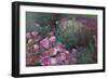 Violet Garden-li bo-Framed Art Print