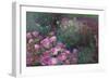 Violet Garden-li bo-Framed Art Print