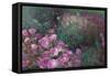 Violet Garden-li bo-Framed Stretched Canvas