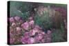 Violet Garden-li bo-Stretched Canvas