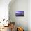 Violet Hour-NjR Photos-Giclee Print displayed on a wall