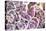 Violet Hydrangea-Karyn Millet-Stretched Canvas