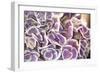 Violet Hydrangea-Karyn Millet-Framed Photographic Print