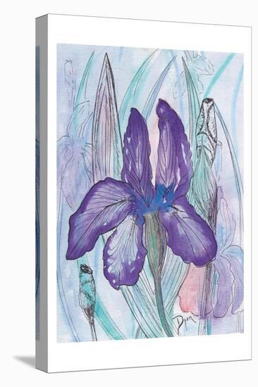 Violet Iris-Beverly Dyer-Stretched Canvas