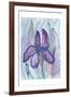 Violet Iris-Beverly Dyer-Framed Art Print