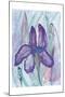 Violet Iris-Beverly Dyer-Mounted Art Print