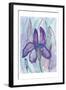 Violet Iris-Beverly Dyer-Framed Art Print