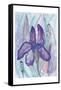 Violet Iris-Beverly Dyer-Framed Stretched Canvas